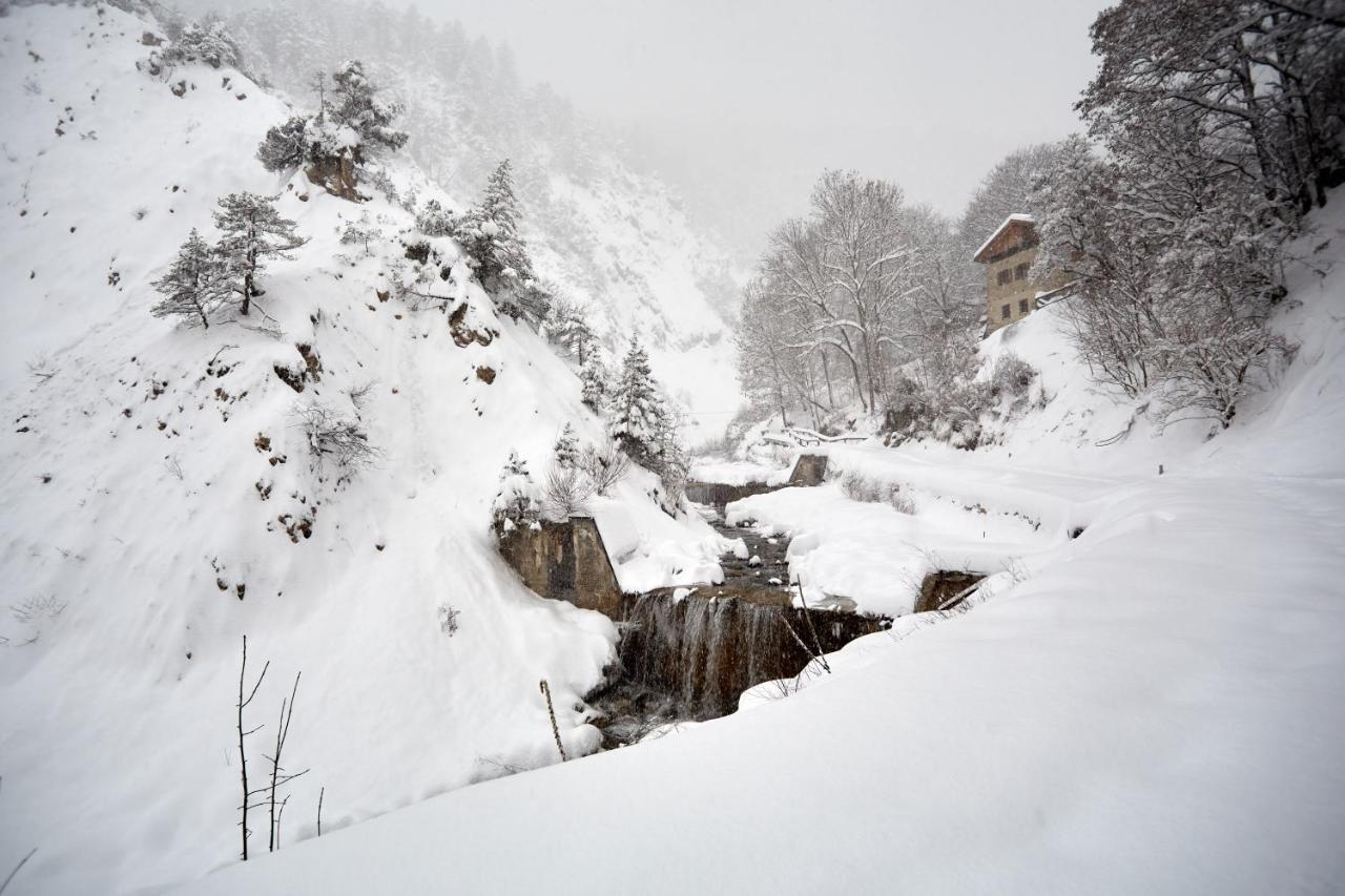 Casa Cadore Lozzo Cadore 外观 照片