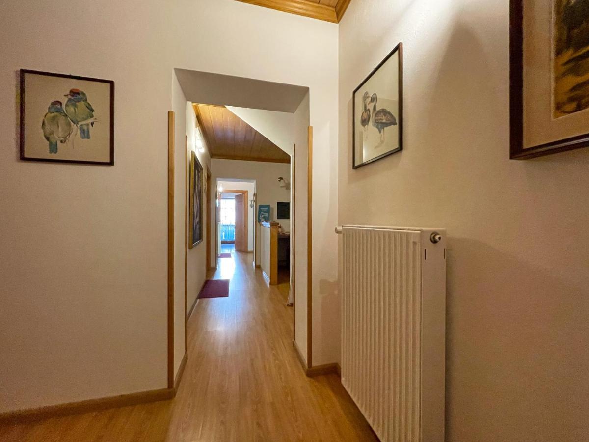 Casa Cadore Lozzo Cadore 外观 照片