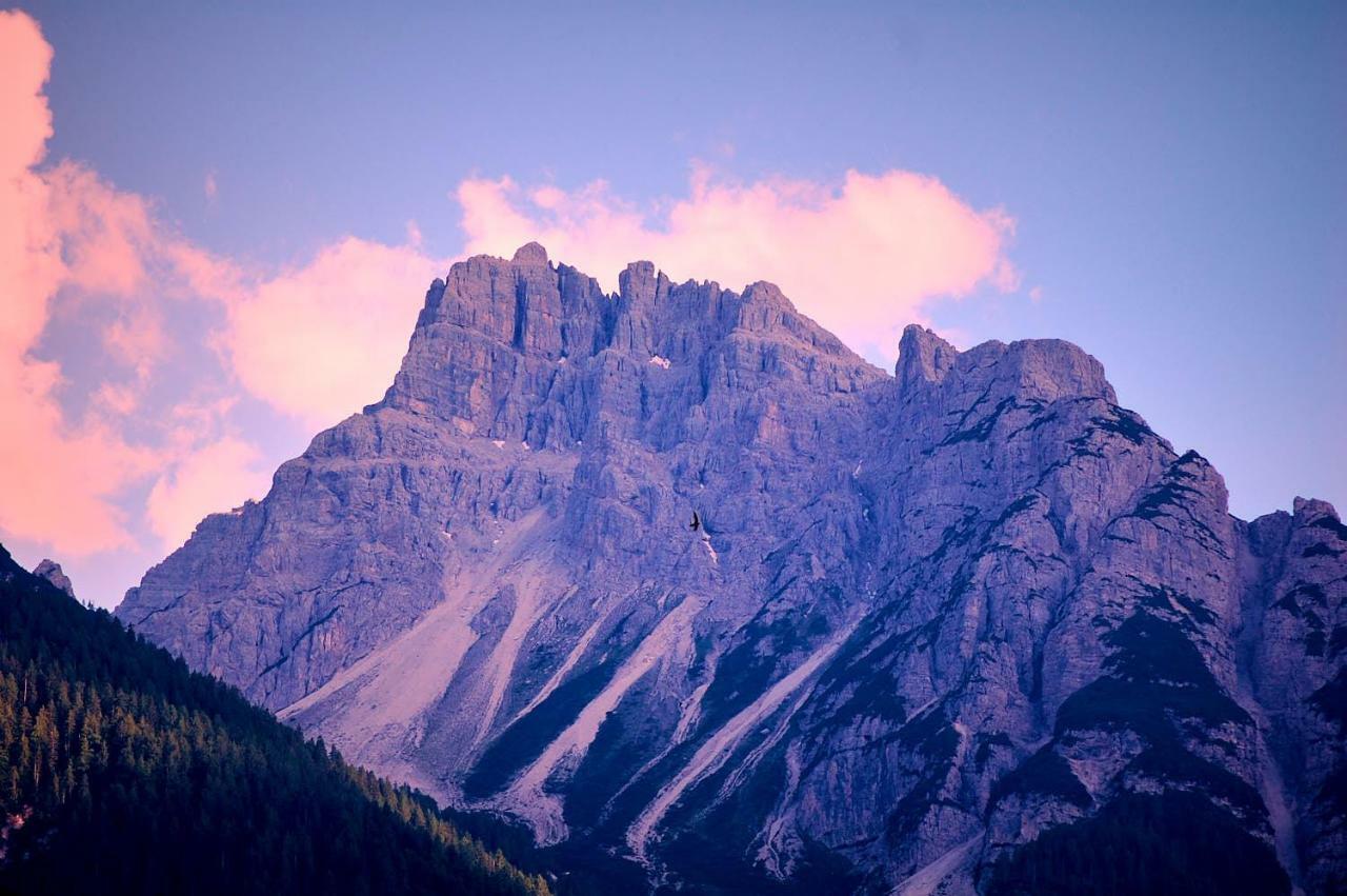 Casa Cadore Lozzo Cadore 外观 照片
